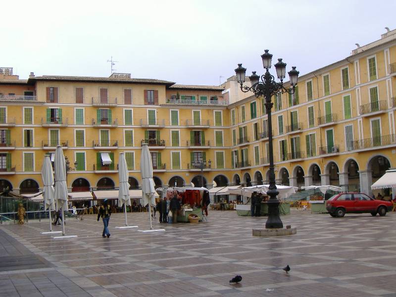 Palma Februar 07 (12) 